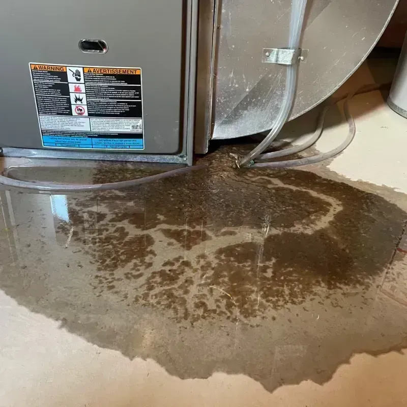 Appliance Leak Cleanup in Itasca, IL